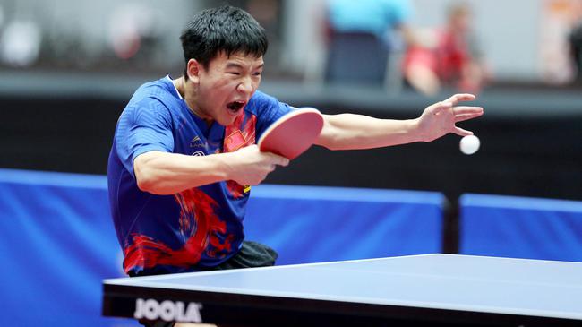 鹈鹕队展现 鹈鹕队展现