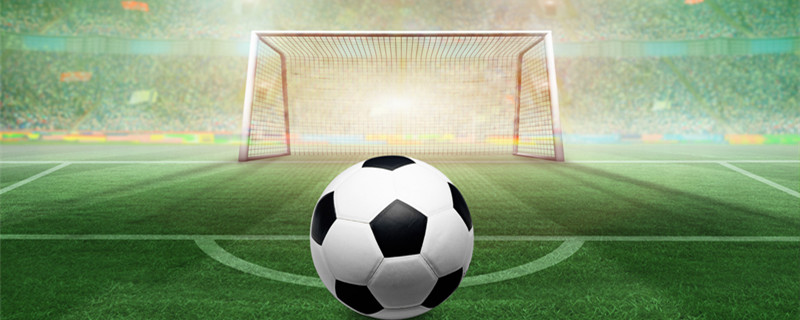 体将他列为 体将他列为