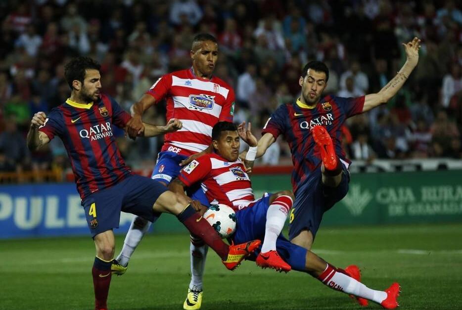 具观赏性 具观赏性